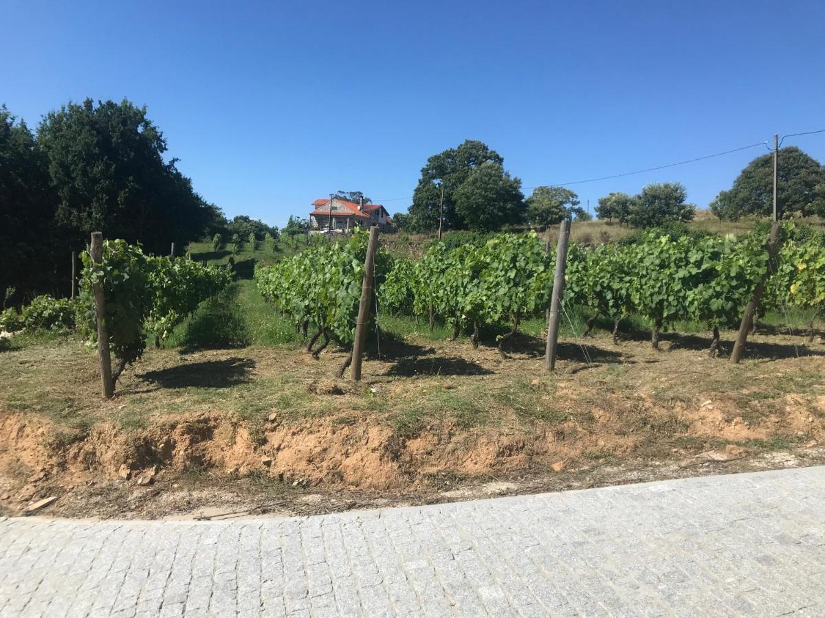 Quinta Casa Do Retiro Villa Penalva do Castelo Dış mekan fotoğraf