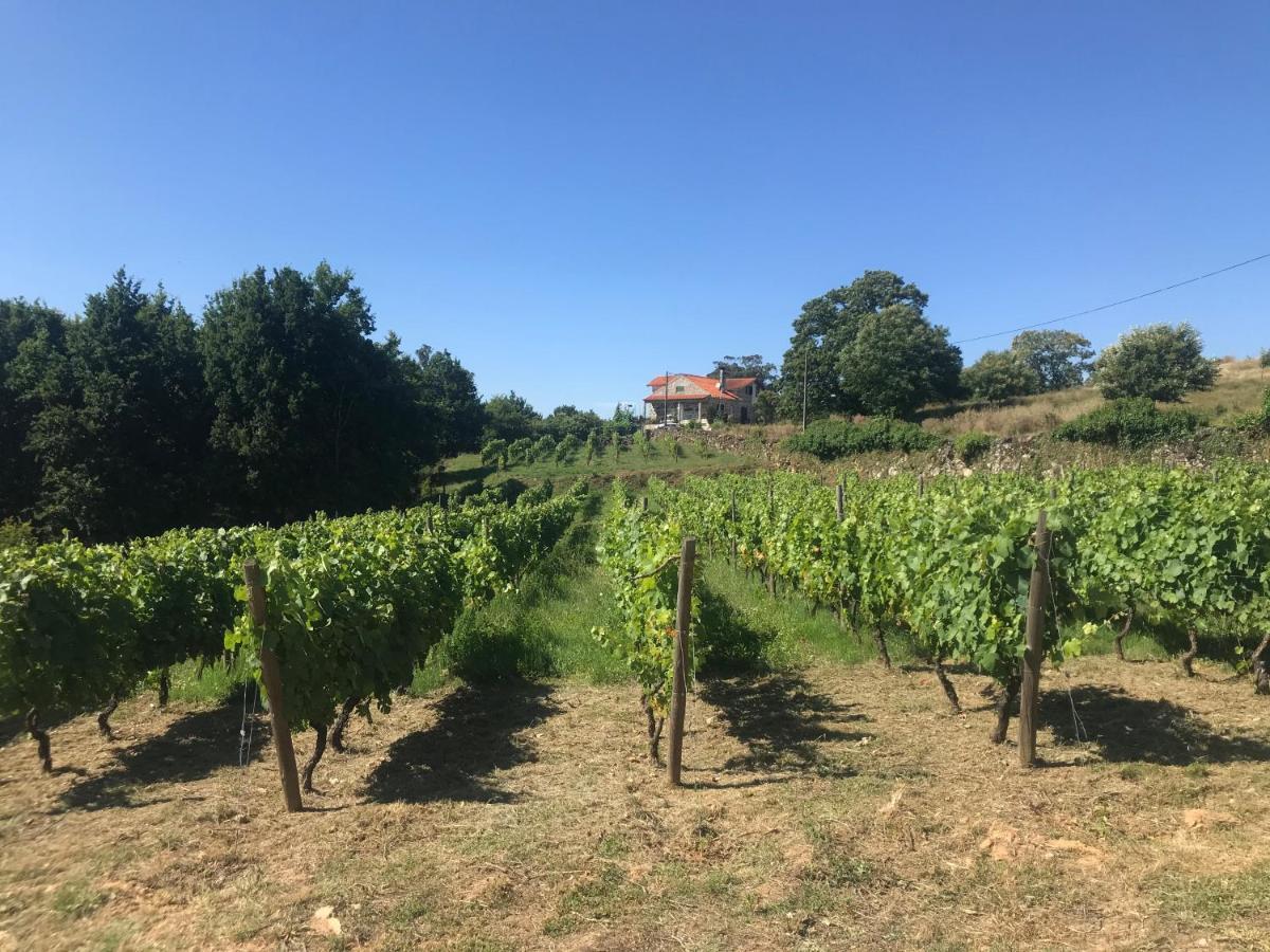 Quinta Casa Do Retiro Villa Penalva do Castelo Dış mekan fotoğraf